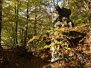 68 Il giallo tendente al rosso delle foglie dei faggi 